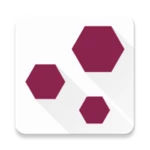 truevolve digsig verifier android application logo